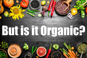 Link Between Eating Organic And Reduced Cancer Risk